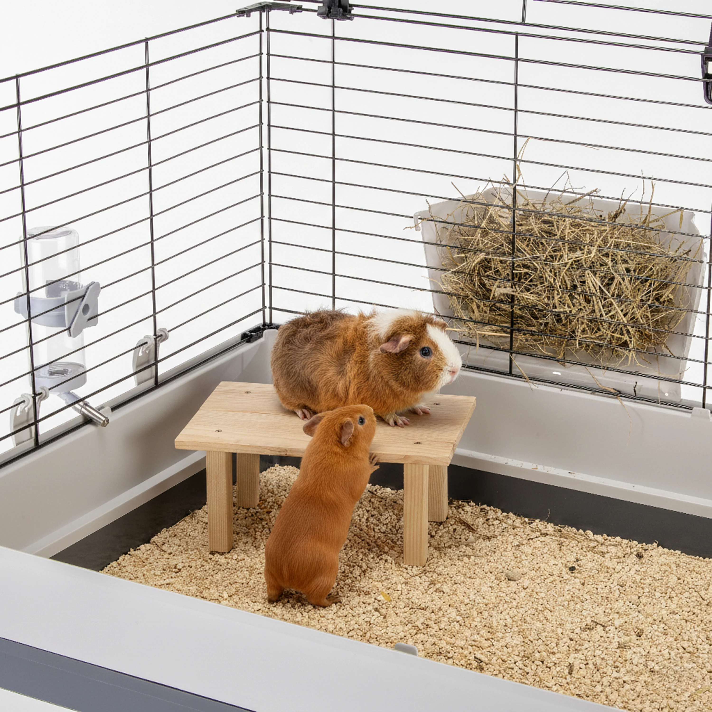 ARCADE TABLE Jouet en bois pour petits animaux - Image 4