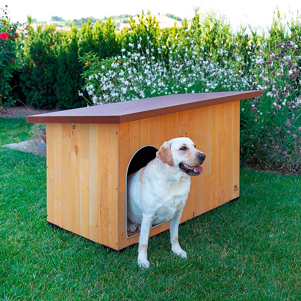 BAITA - Image 37