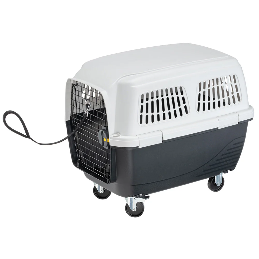 CLIPPER 4-7 - Image 12