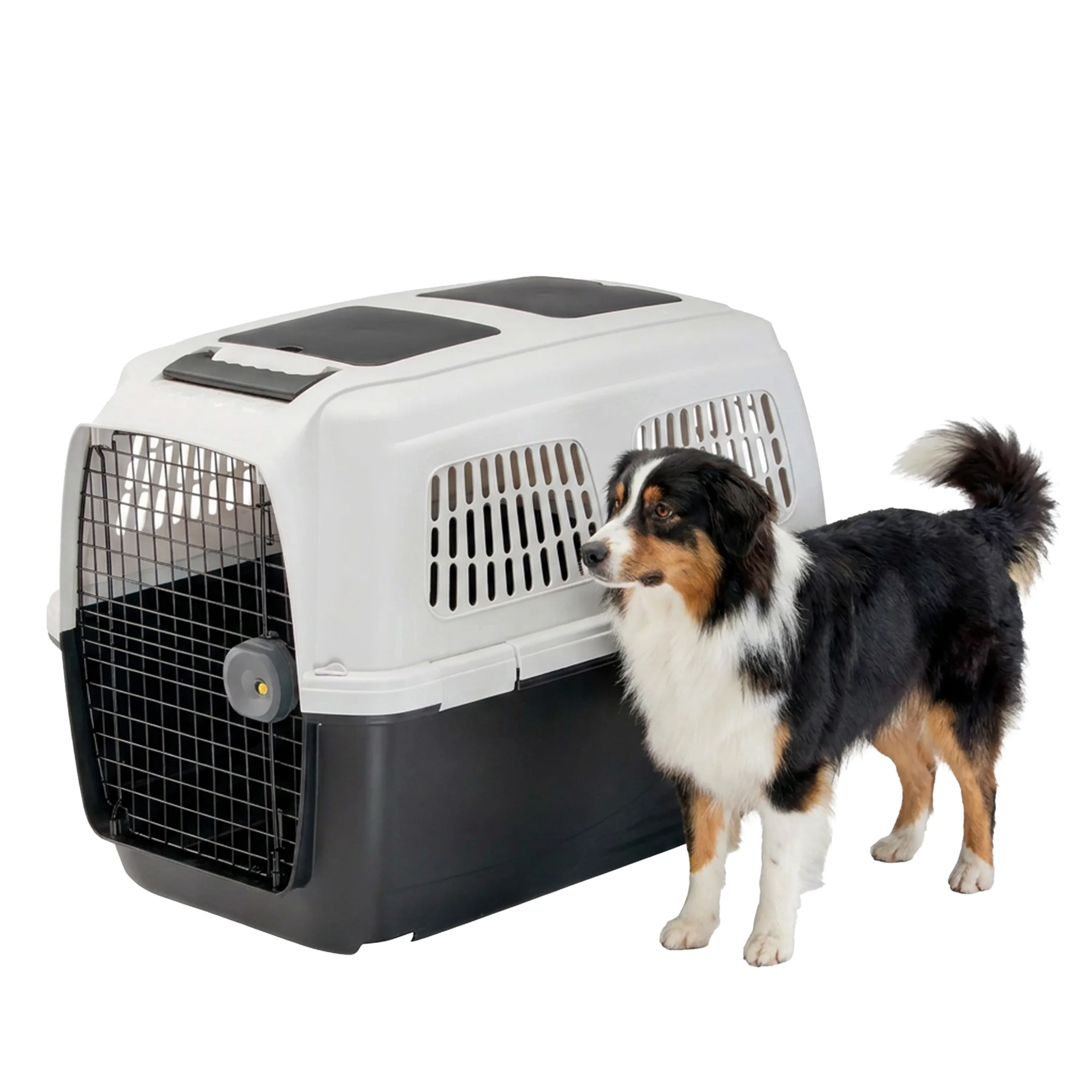 CLIPPER PLUS 4-7 - Image 29