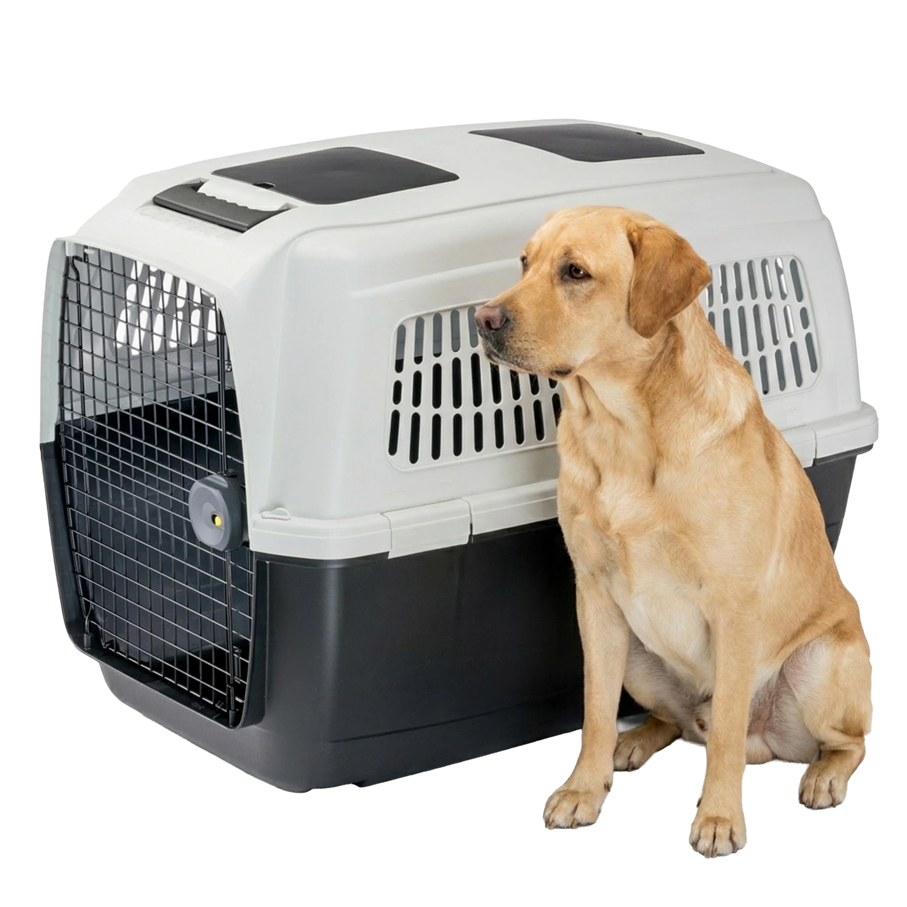 CLIPPER PLUS 4-7 - Image 41