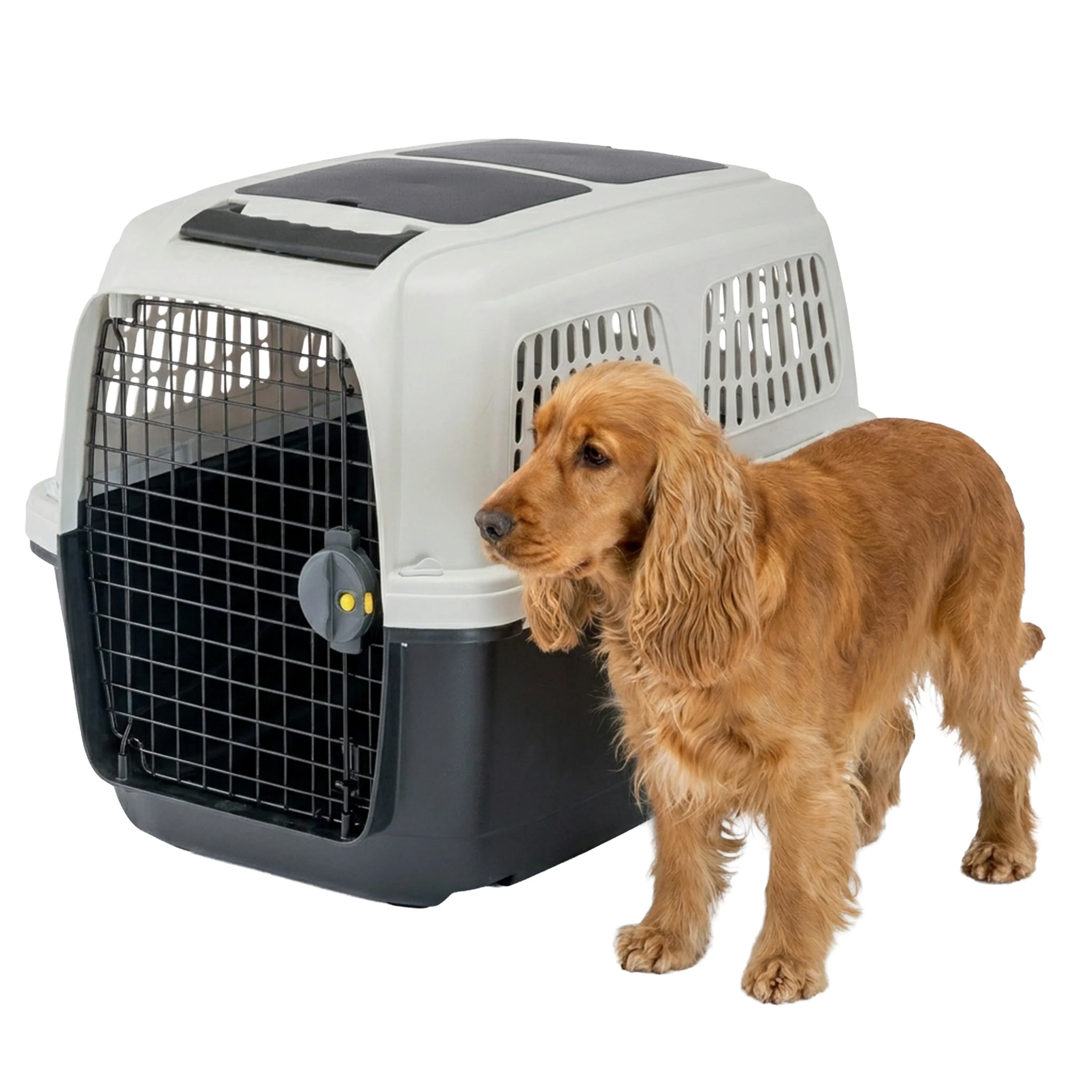 CLIPPER PLUS 4-7 - Image 5