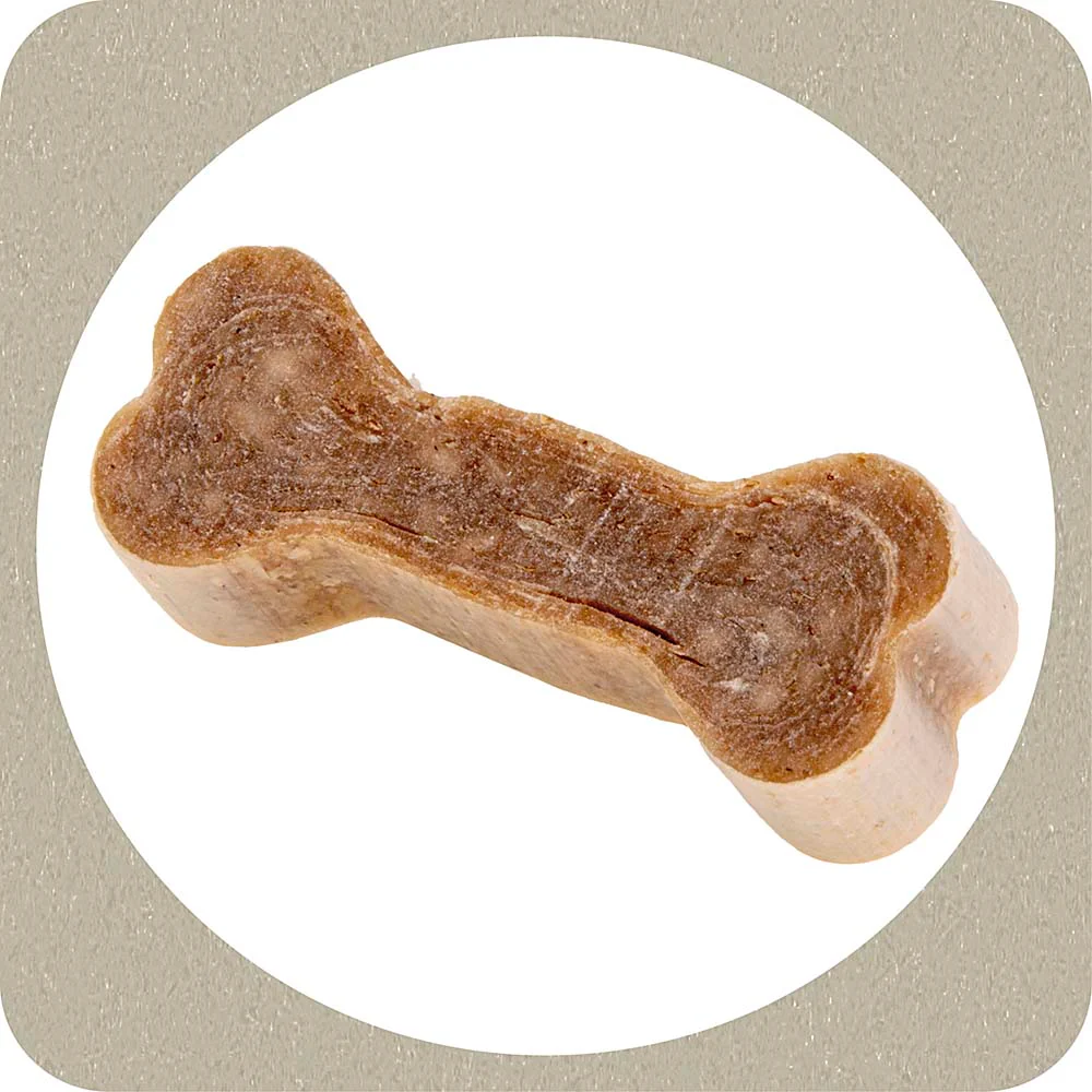 100% SNACK COOKIE - BONE EUGLENA - Image 6