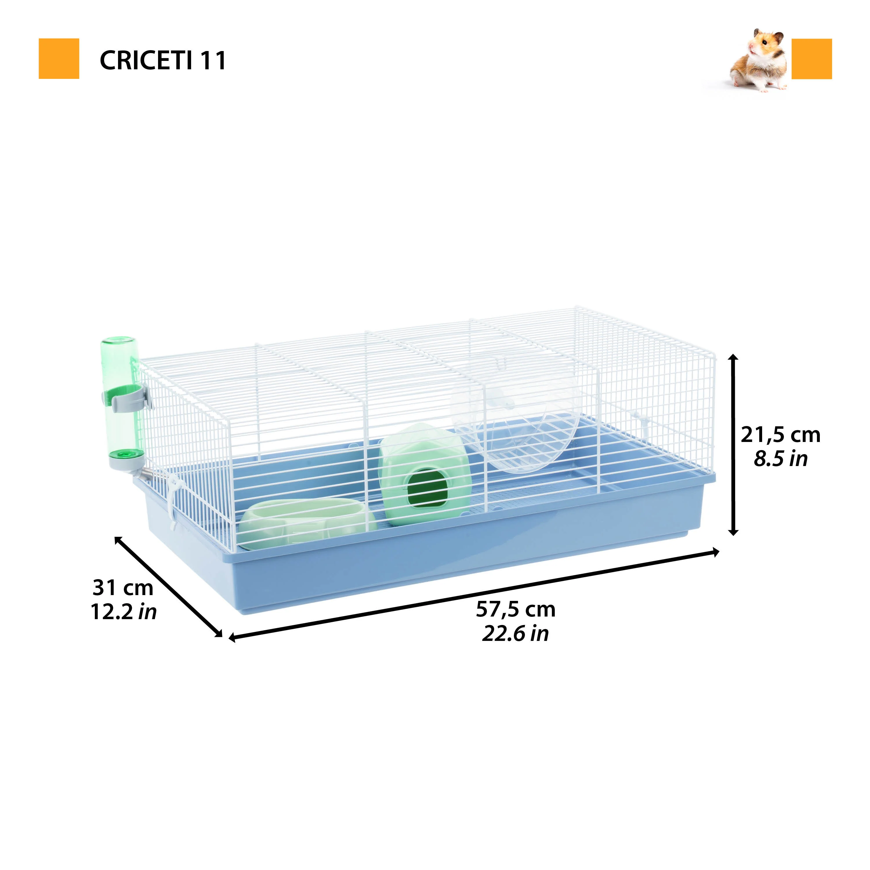 CRICETI 11 - Image 2