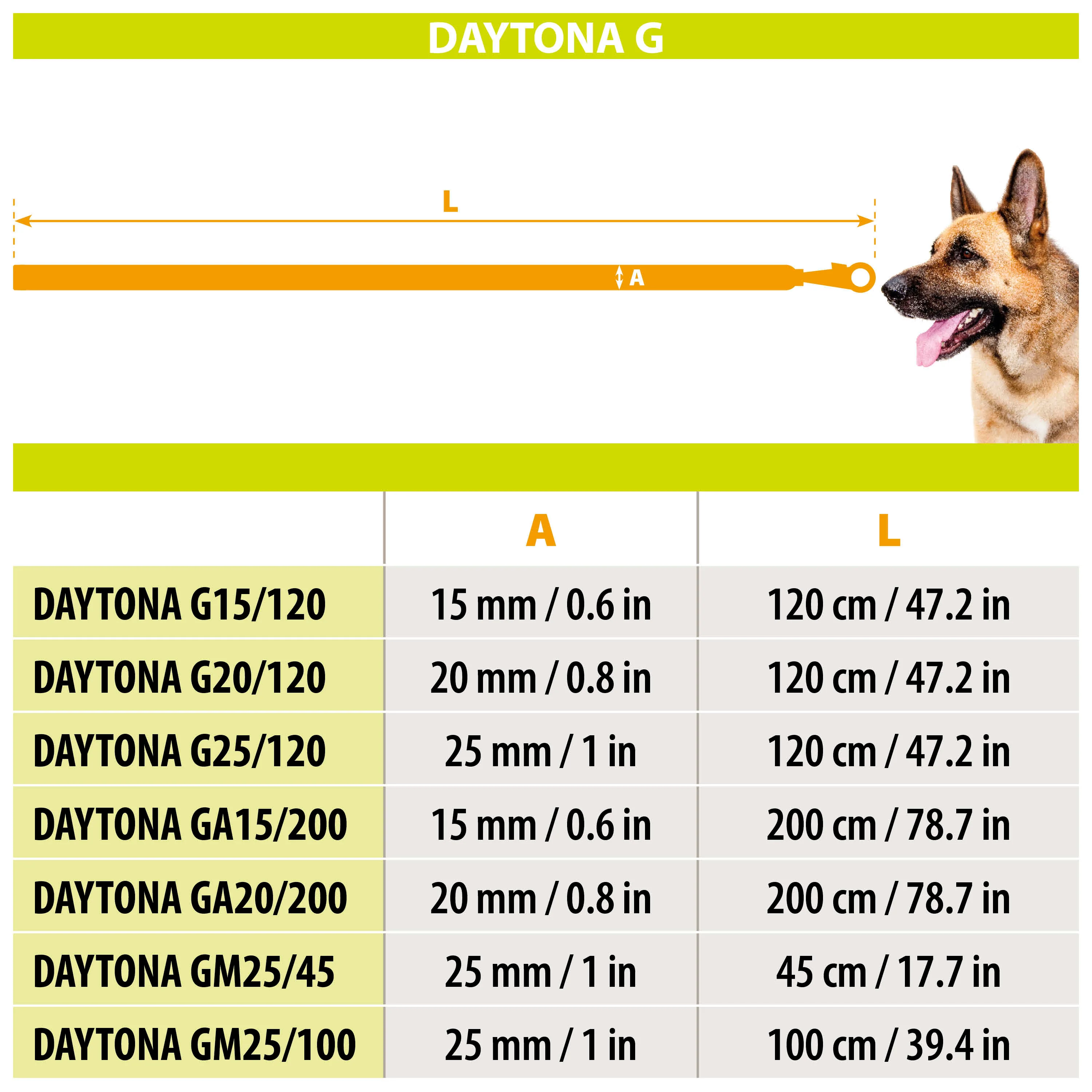 DAYTONA GA - Image 17