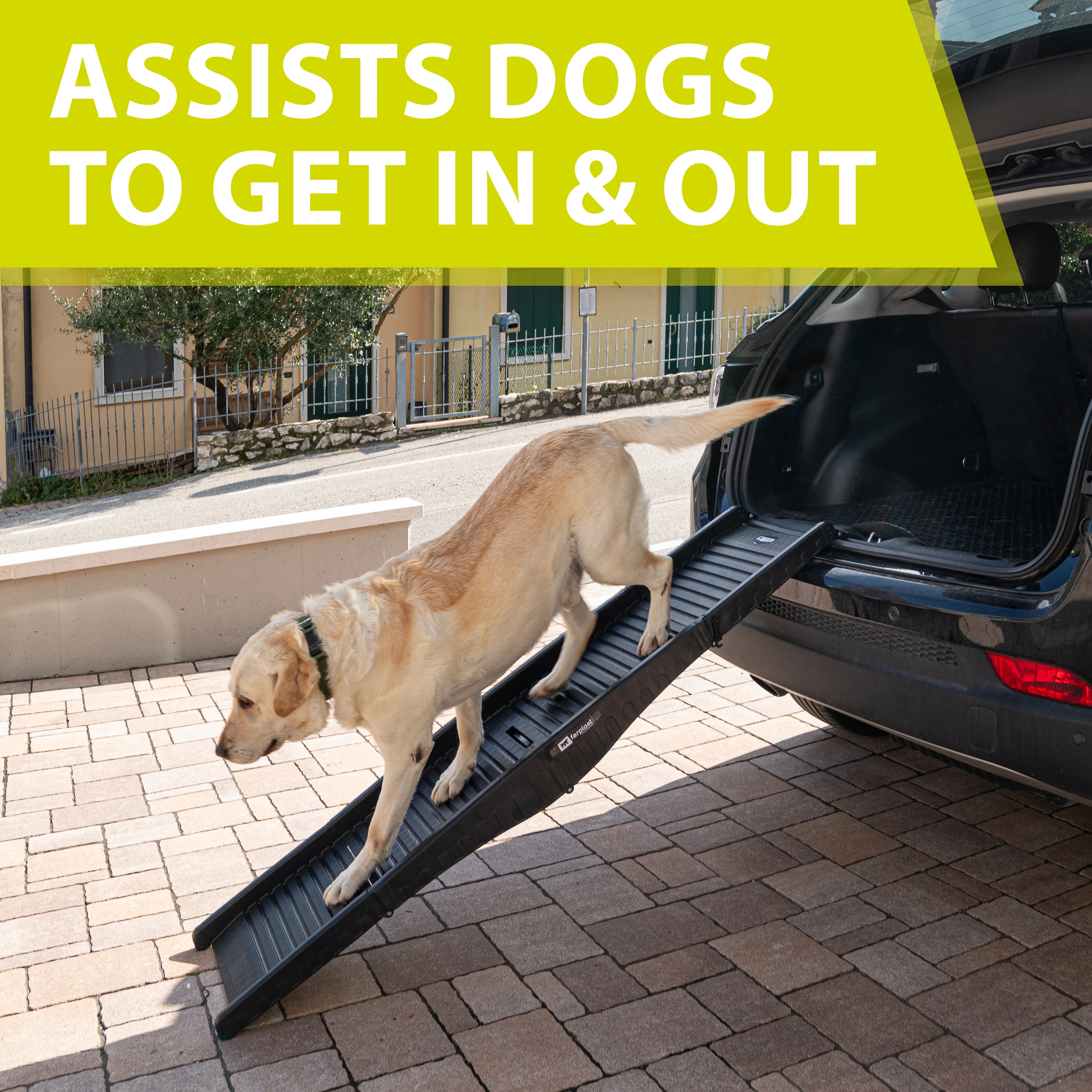 DOG RAMP - Image 4