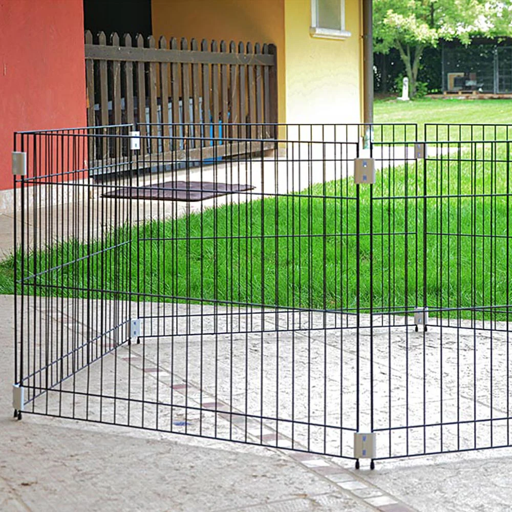 DOG TRAINING - Image 3
