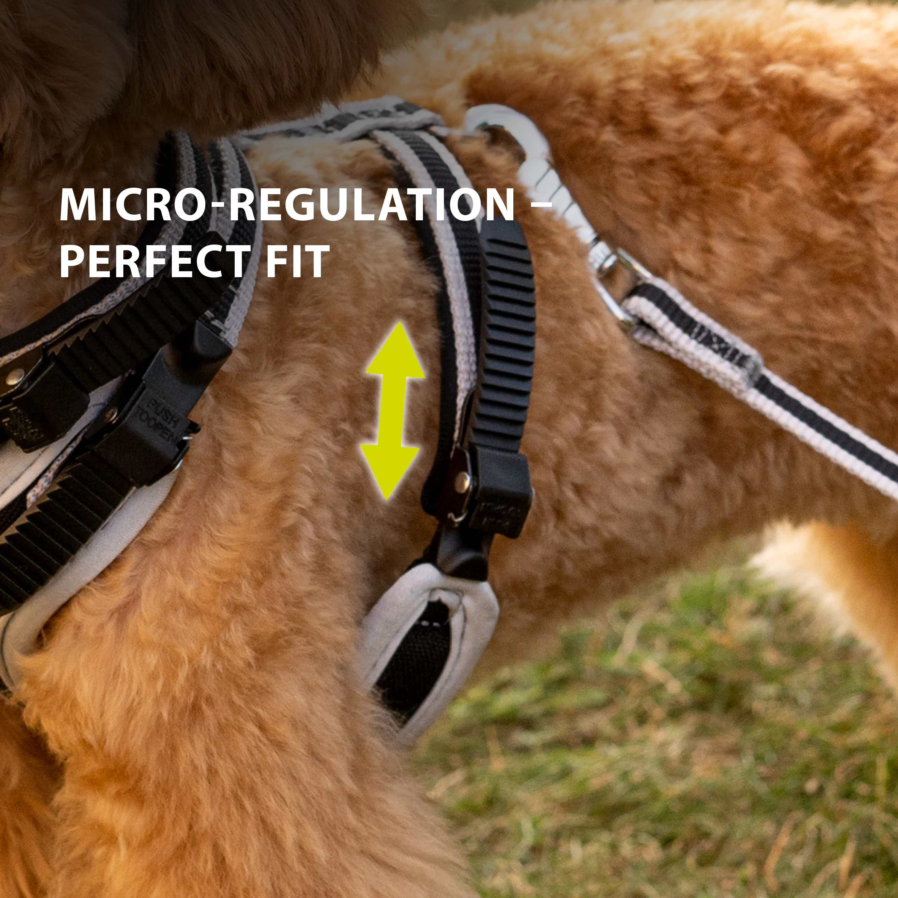ERGOCOMFORT P - Image 7