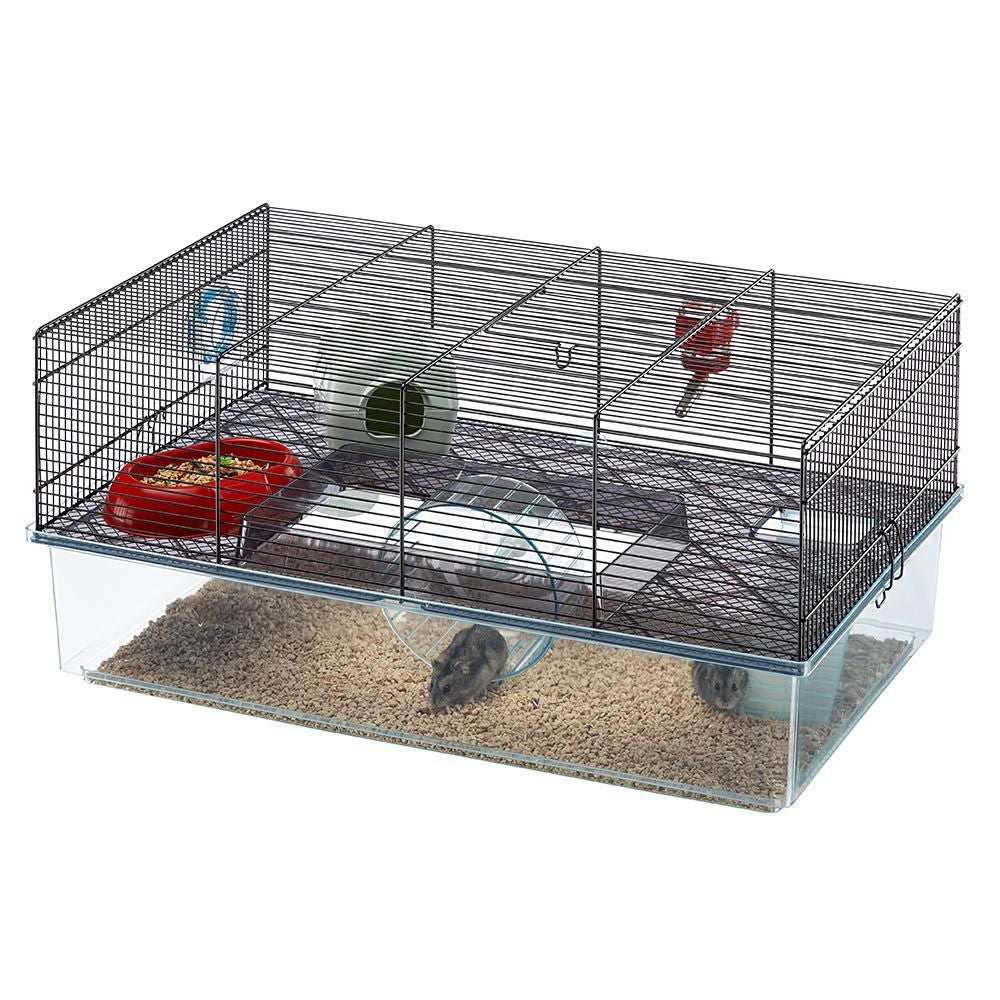 FAVOLA - Image 4