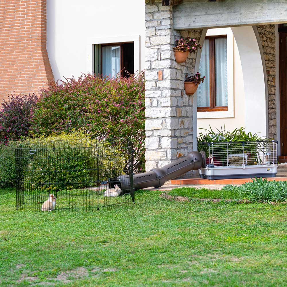 FREERUN - Image 3