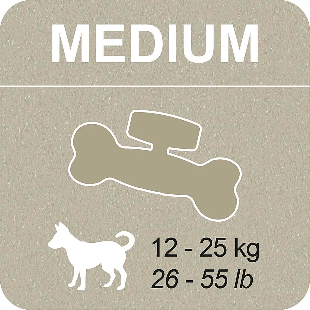 100% SNACK A REMPLIR - BONE EUGLENA - Image 5