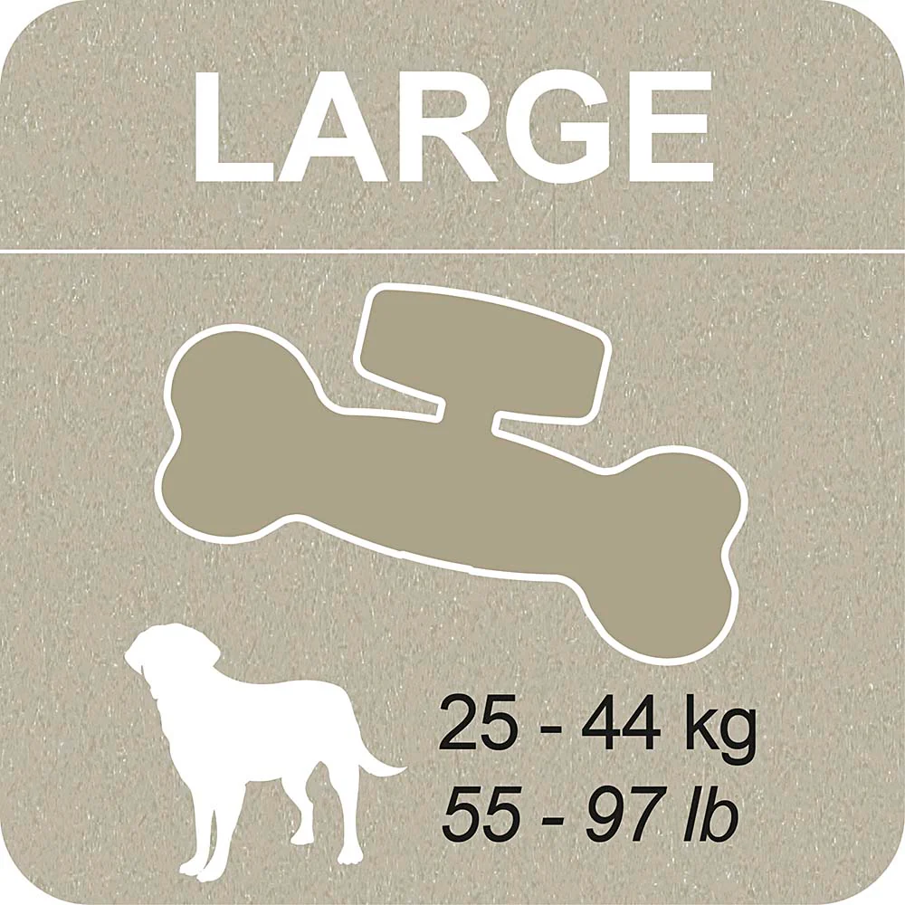 100% SNACK A REMPLIR - BONE YUCCA - Image 8