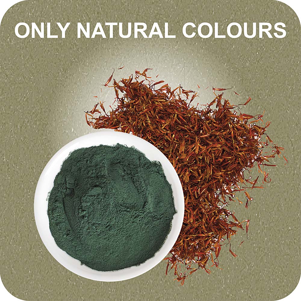 100% SNACK A REMPLIR - TOOTHBRUSH ASCOPHILLUM - Image 3