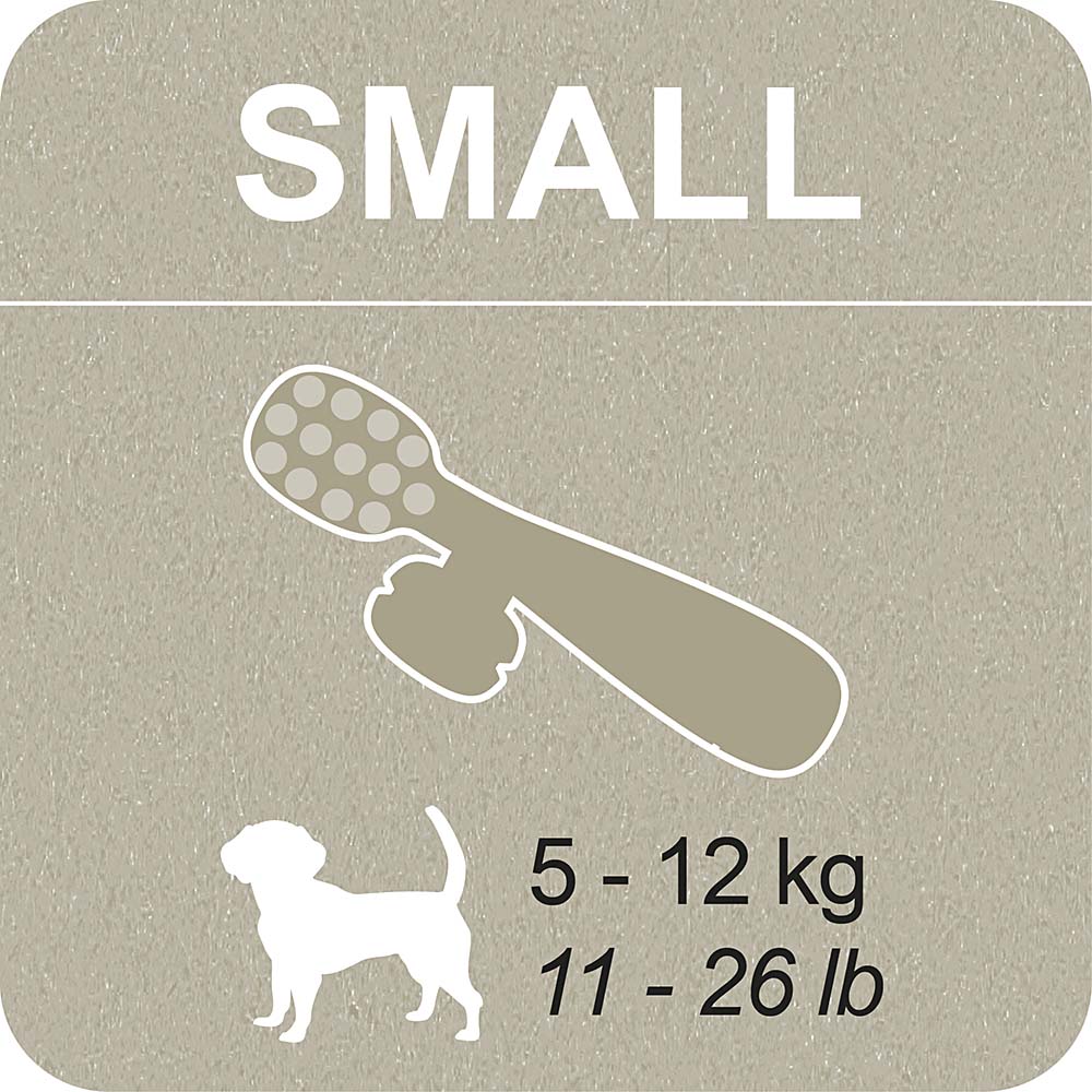 100% SNACK A REMPLIR - TOOTHBRUSH ASCOPHILLUM - Image 6
