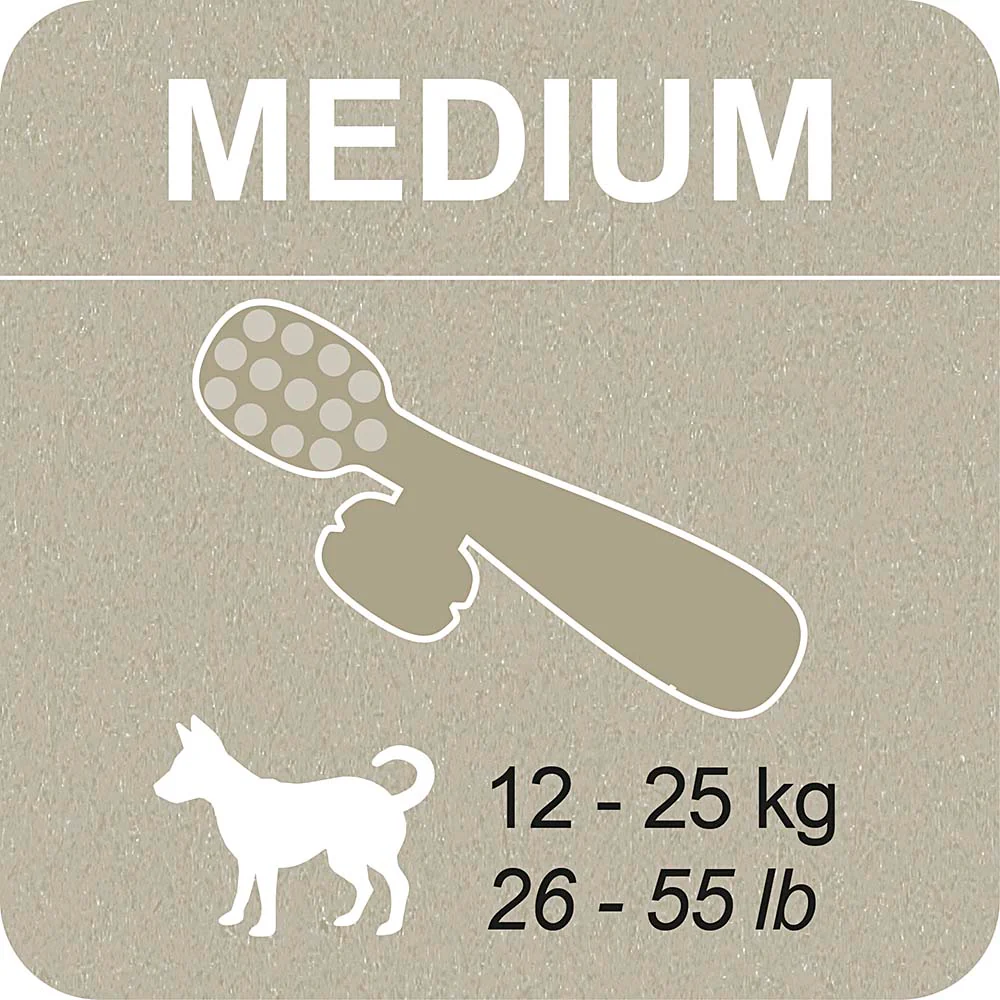 100% SNACK A REMPLIR - TOOTHBRUSH ASCOPHILLUM - Image 8