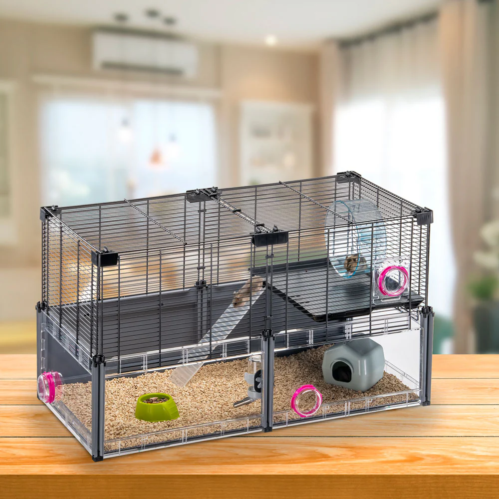MULTIPLA HAMSTER - Image 3