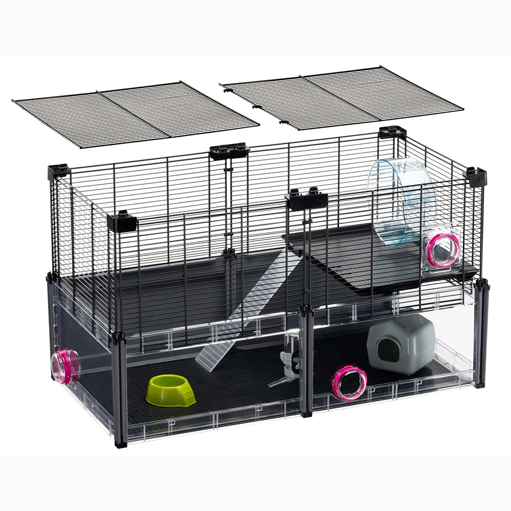 MULTIPLA HAMSTER - Image 5