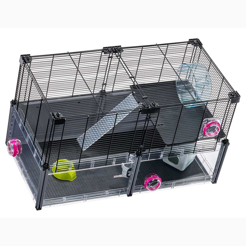 MULTIPLA HAMSTER - Image 6