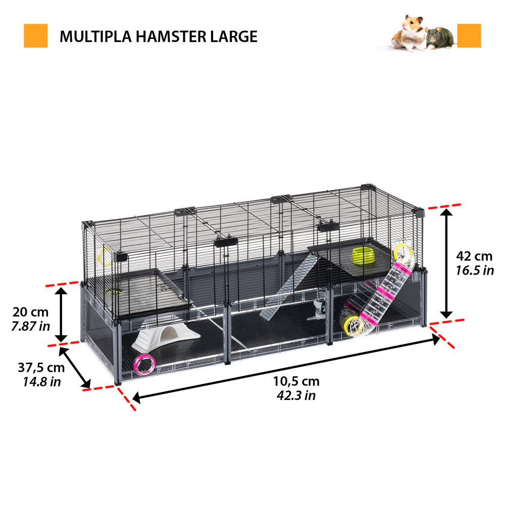 Miniature 2