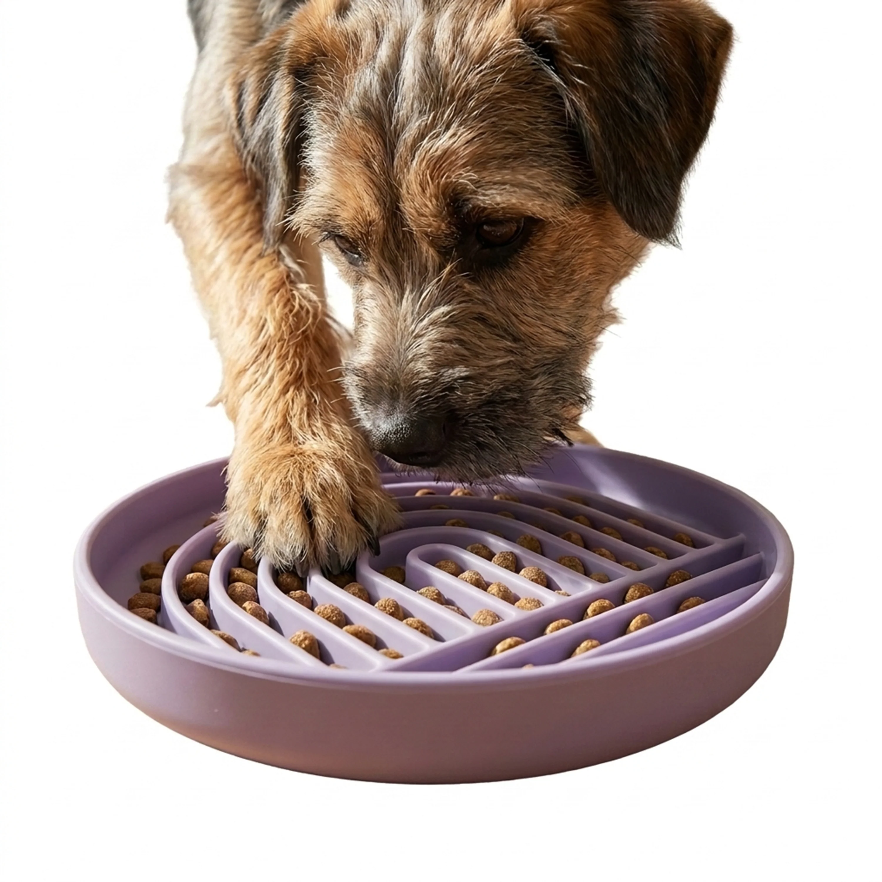SLOW FEEDING BOWL - Image 4