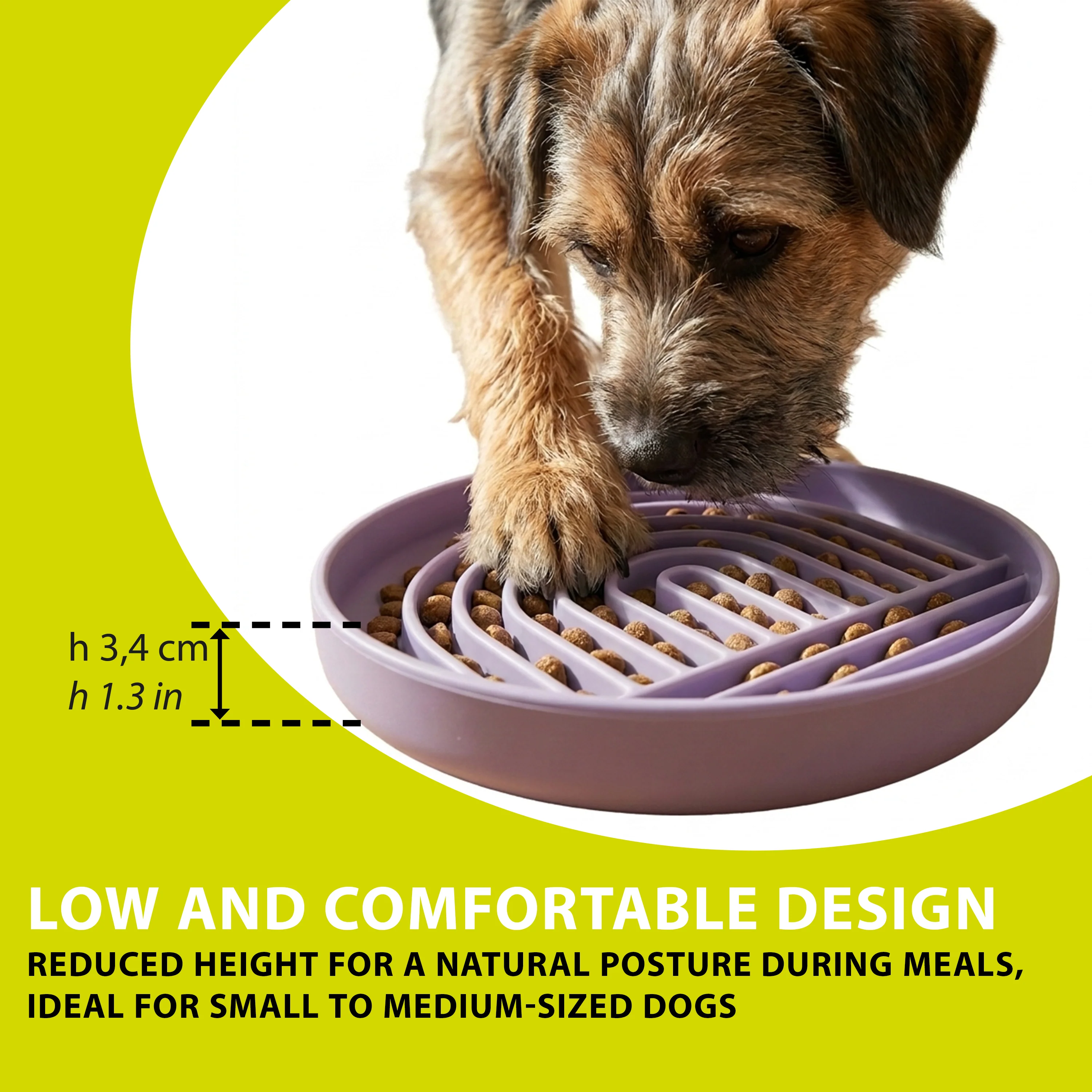 SLOW FEEDING BOWL - Image 5