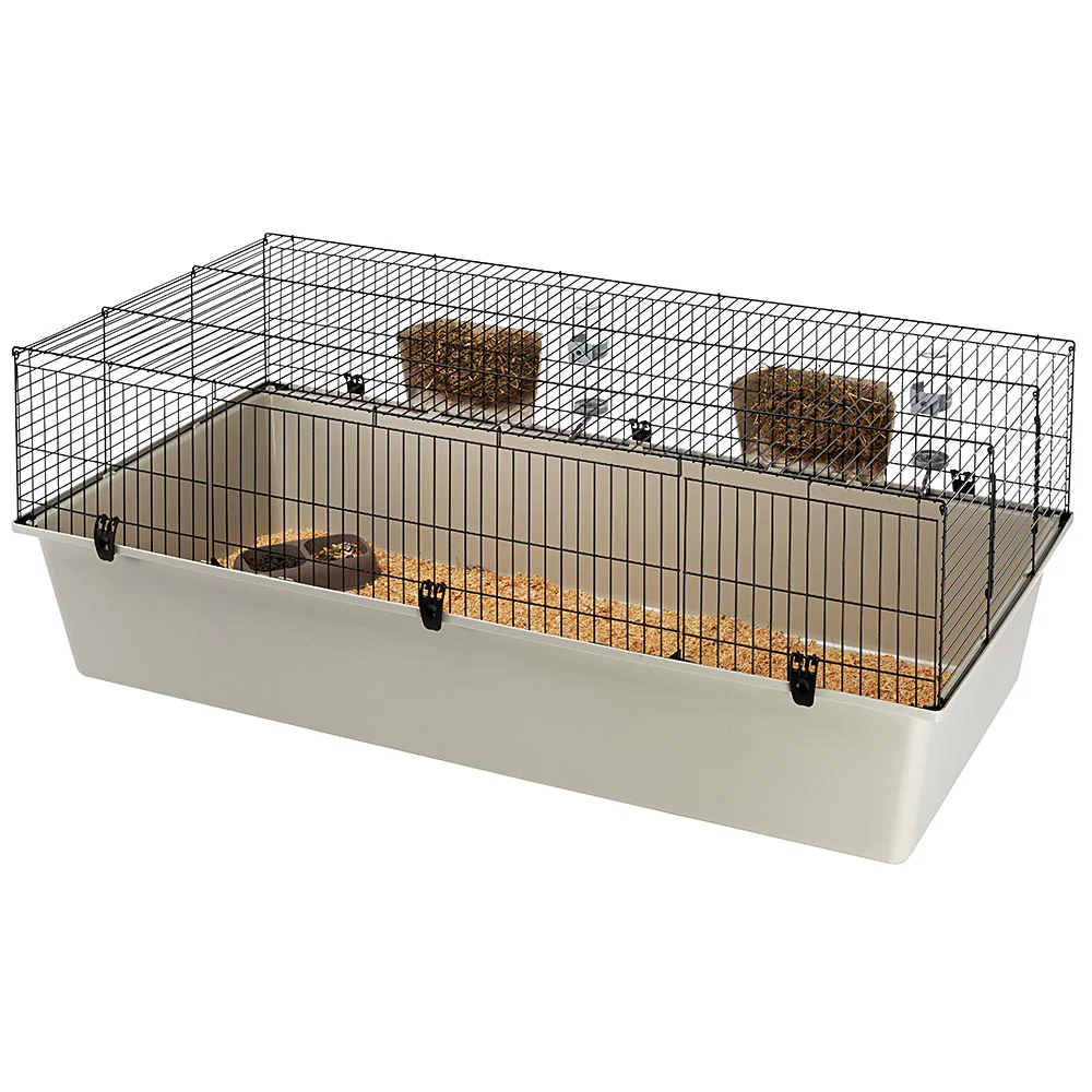 RABBIT 160 - Image 3