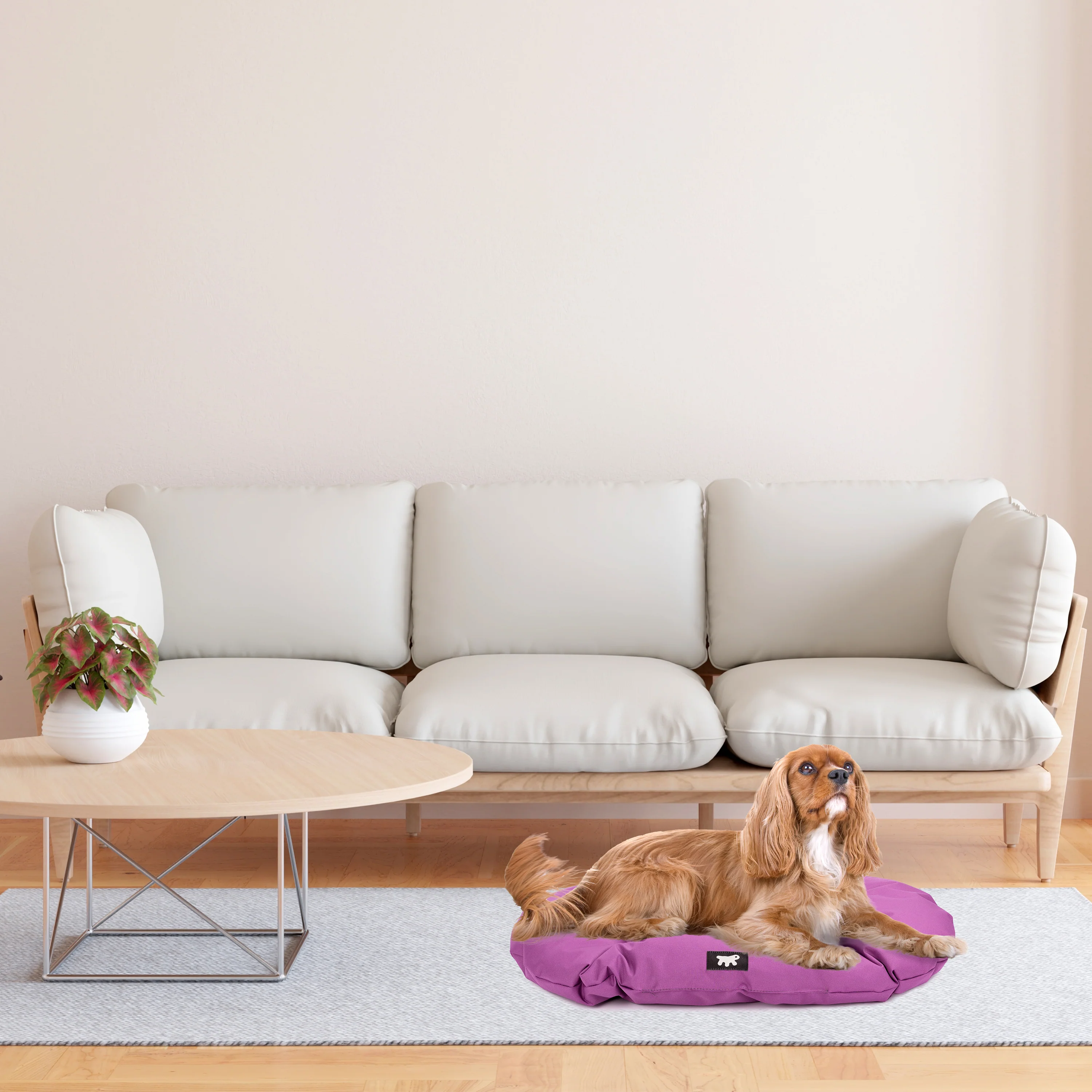 RELAX TECH - Image 49