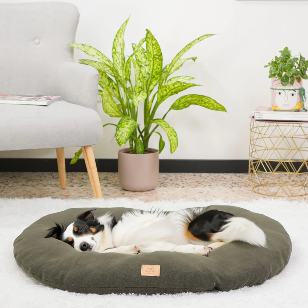 RELAX MICROFLEECE - Image 44