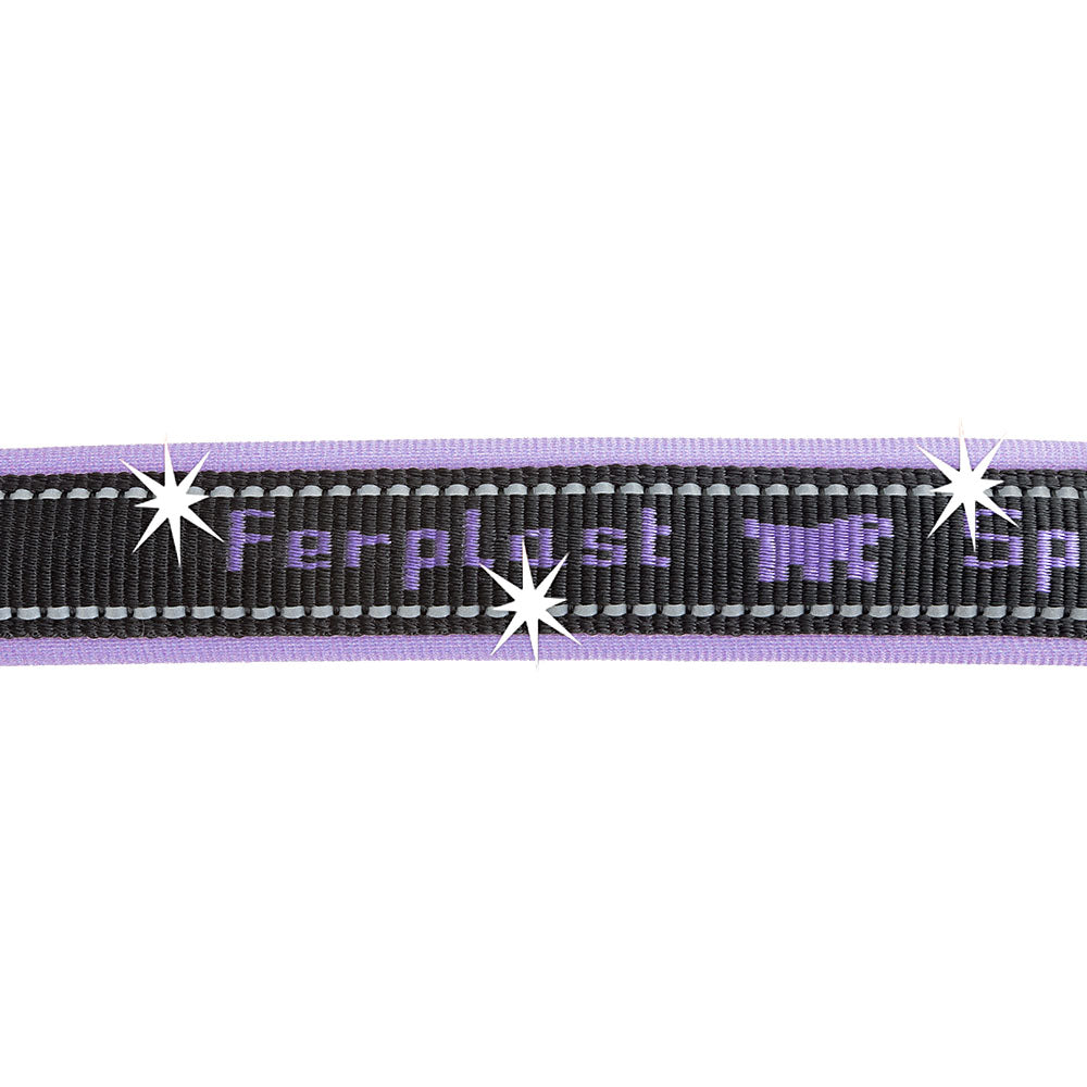 SPORT DOG C - Image 25